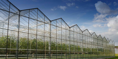 VanLooveren - greenhouse glass and synthetics panels